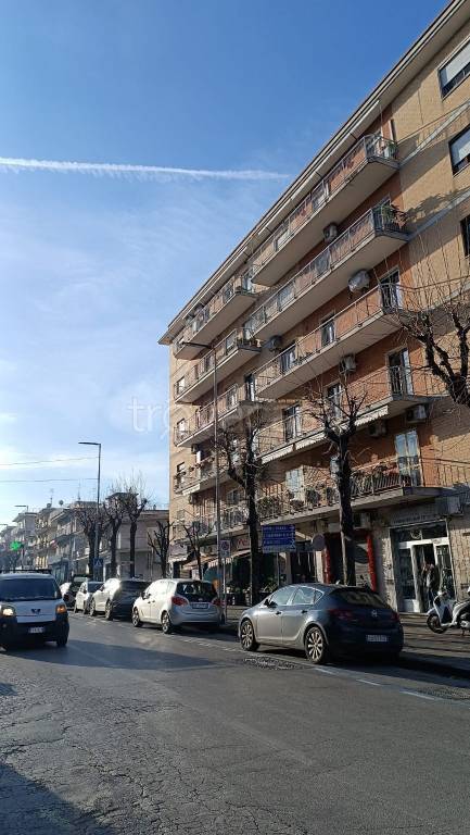 immagine annuncio 2 di 8