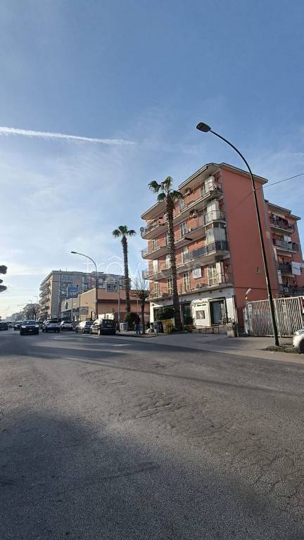 immagine annuncio 4 di 8