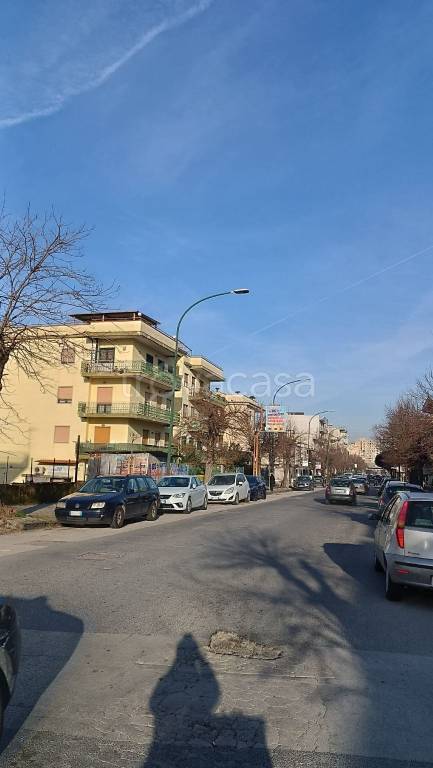 immagine annuncio 5 di 8