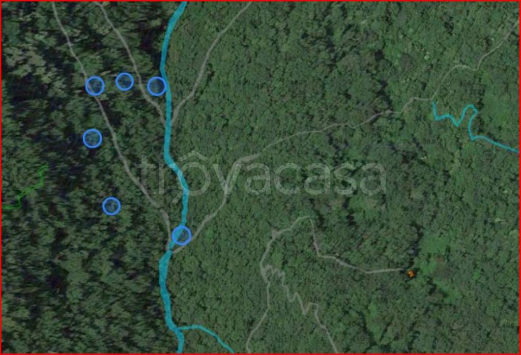 immagine annuncio 10 di 12