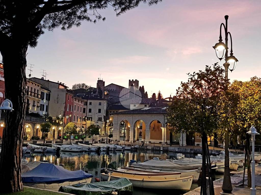 immagine annuncio 11 di 12