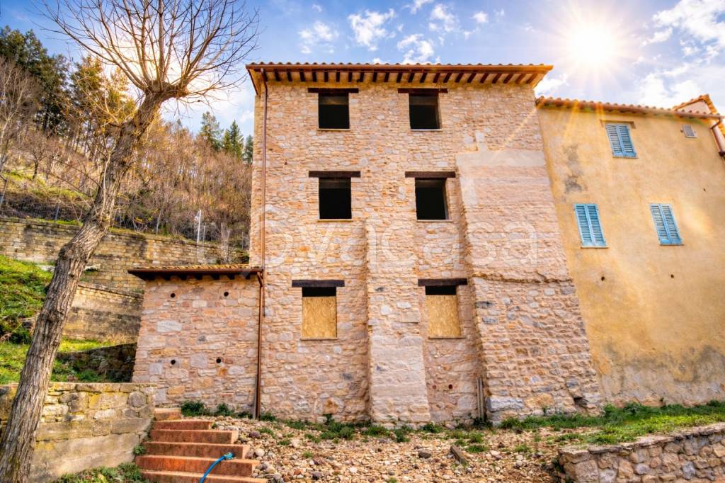 immagine annuncio 2 di 4