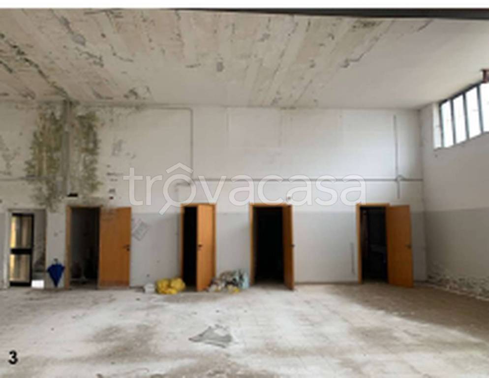 immagine annuncio 4 di 13