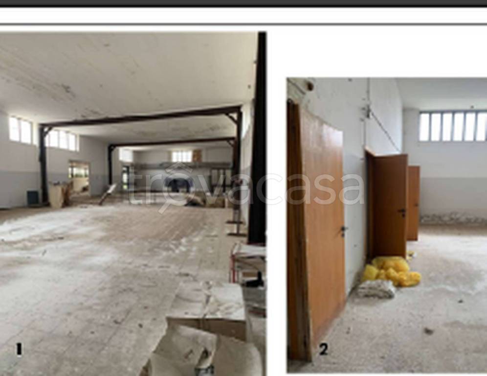 immagine annuncio 6 di 13