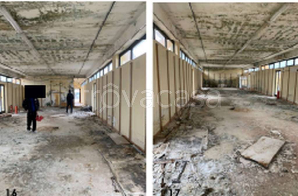 immagine annuncio 11 di 13