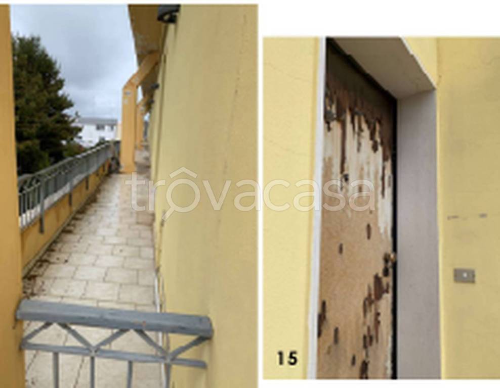 immagine annuncio 12 di 13