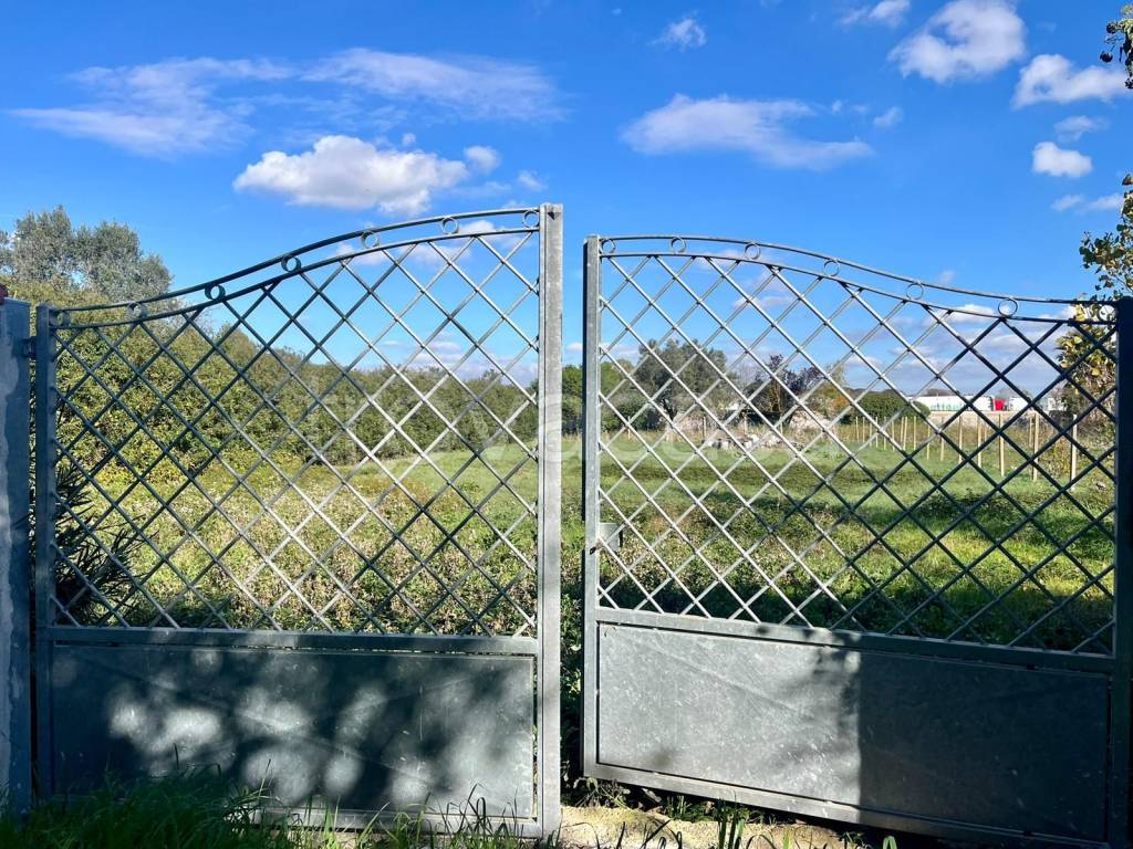 immagine annuncio 5 di 11