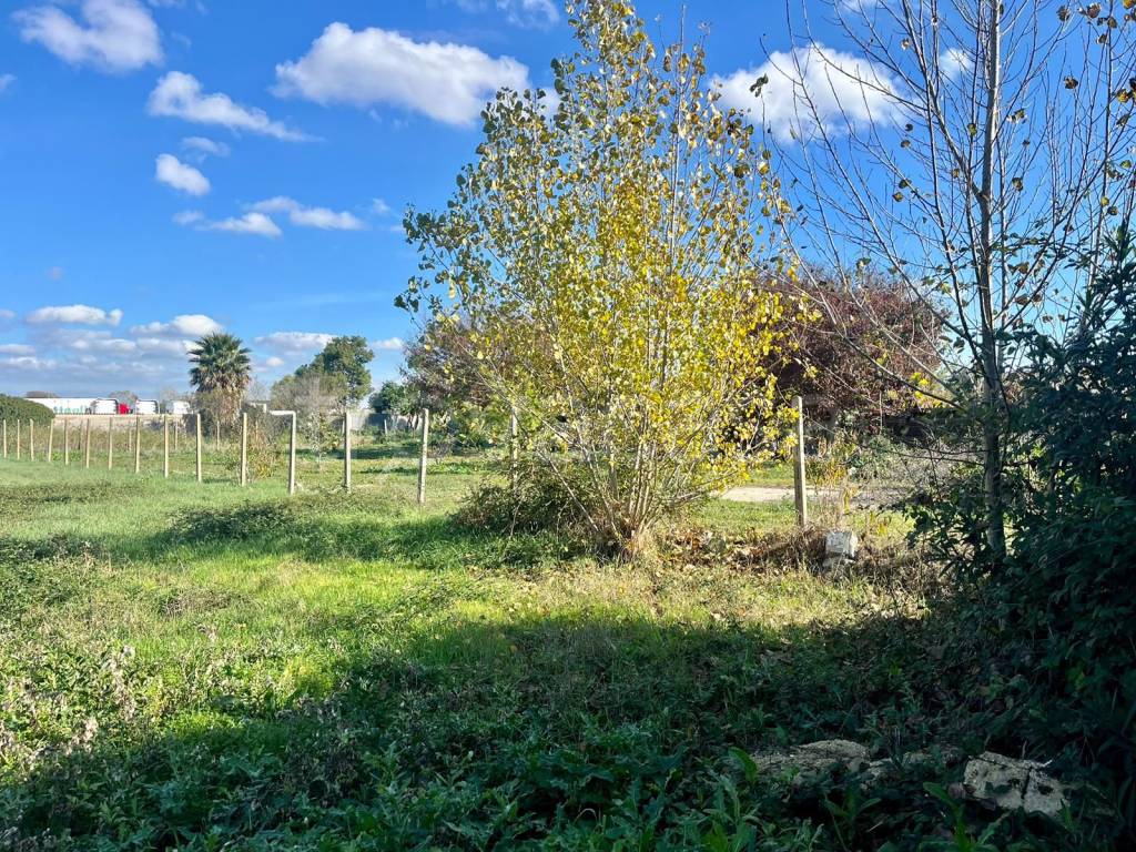 immagine annuncio 4 di 11