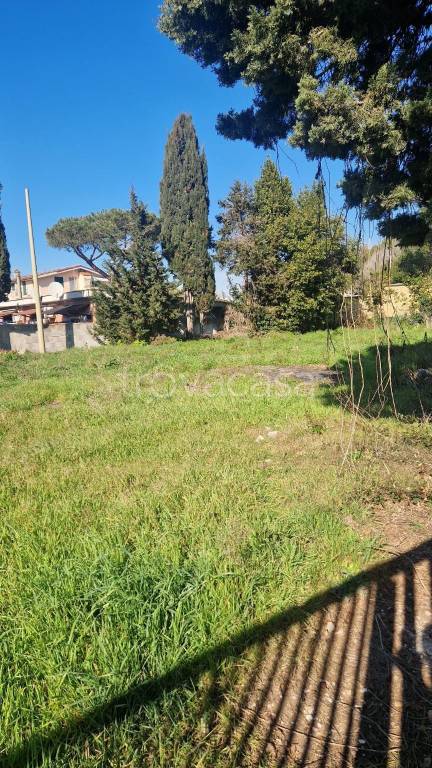 immagine annuncio 7 di 9