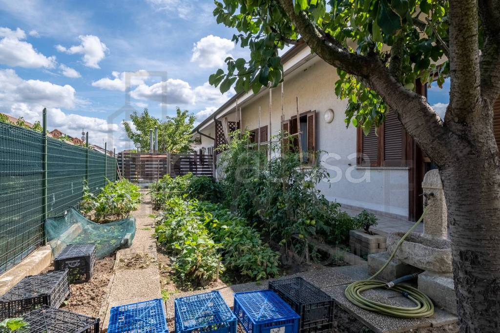 immagine annuncio 6 di 15