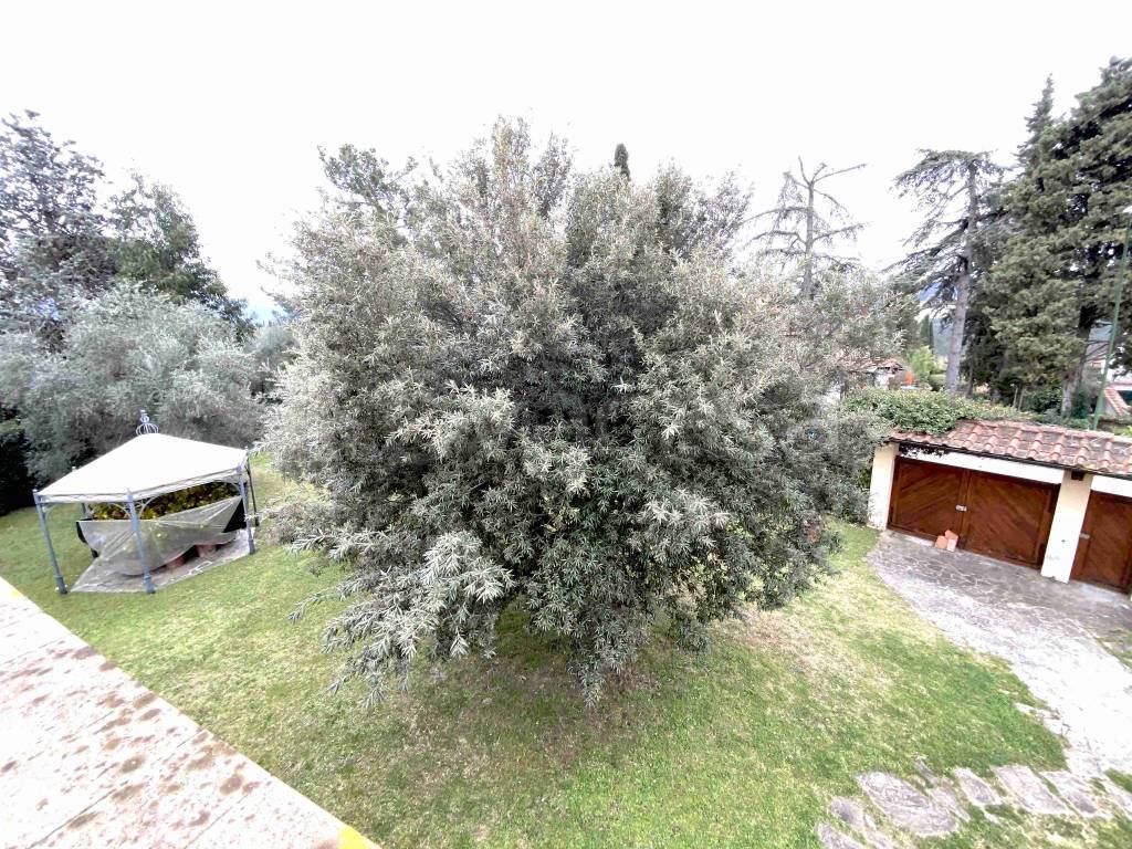 immagine annuncio 12 di 14