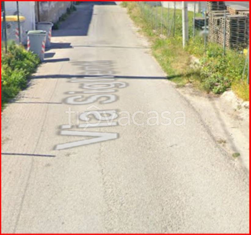 immagine annuncio 7 di 11