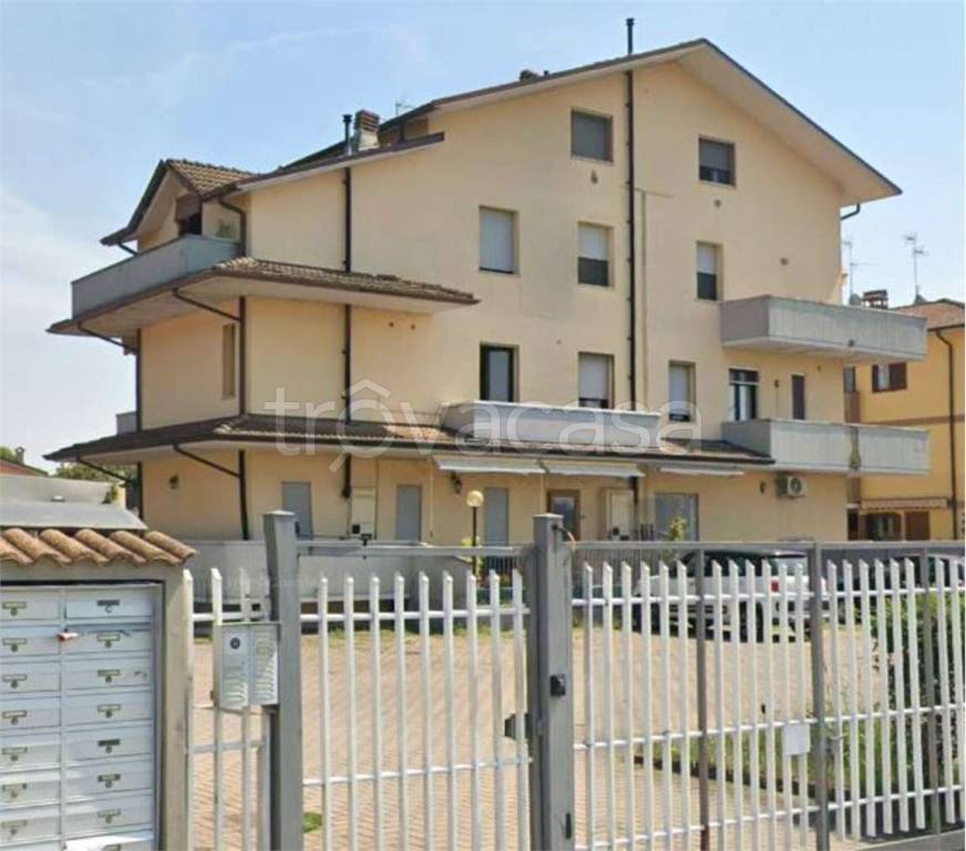 immagine annuncio 7 di 15