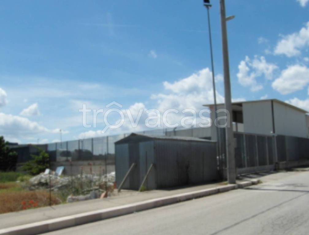 immagine annuncio 9 di 13