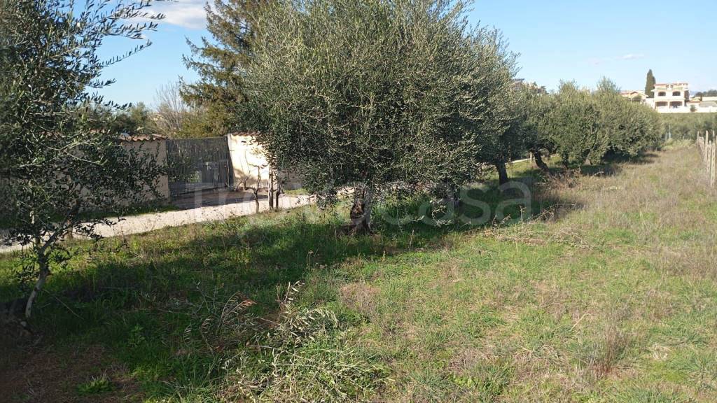 immagine annuncio 2 di 9