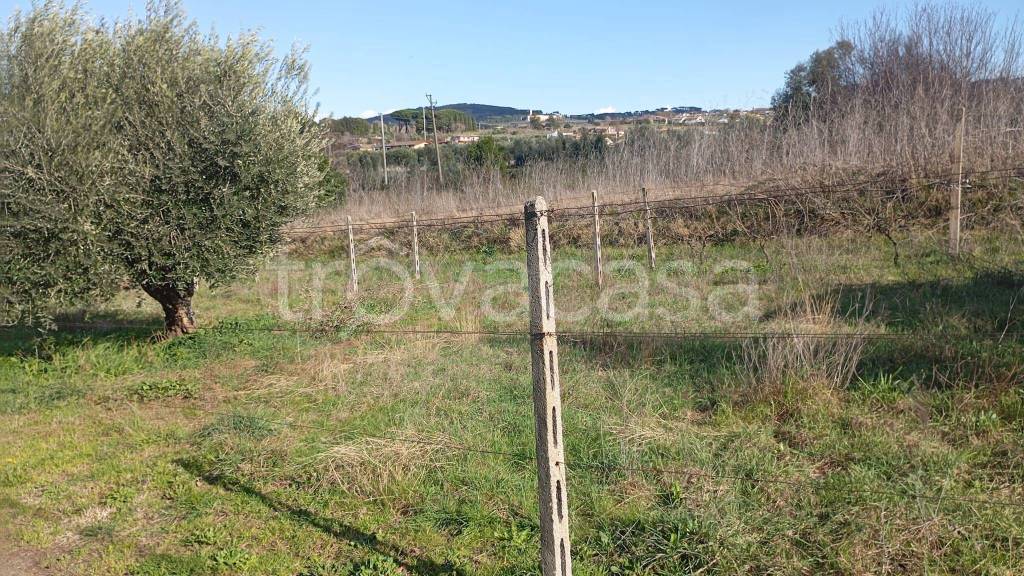 immagine annuncio 5 di 9