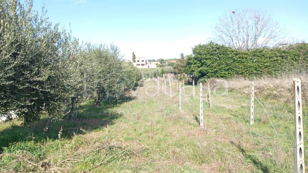 immagine annuncio 6 di 9