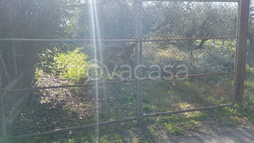 immagine annuncio 7 di 9