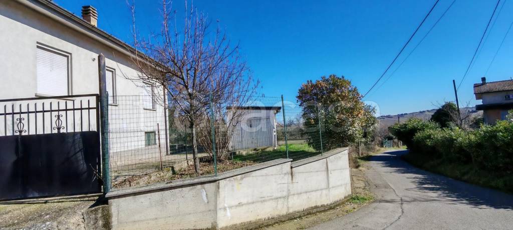 immagine annuncio 2 di 6