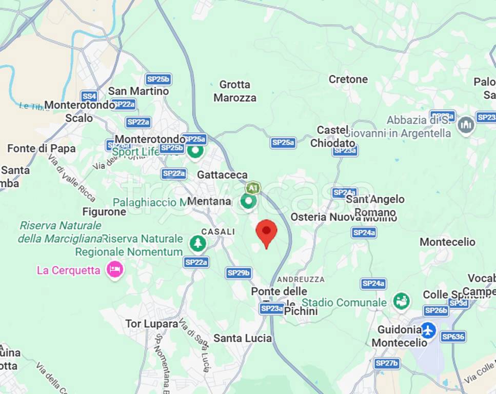 immagine annuncio 6 di 15