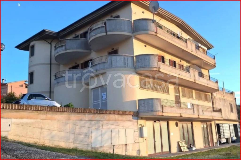 immagine annuncio 1 di 14