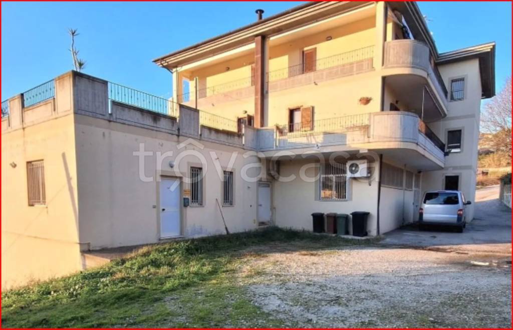 immagine annuncio 3 di 14