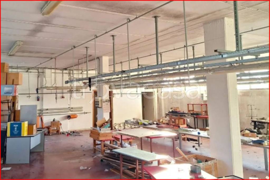 immagine annuncio 5 di 14