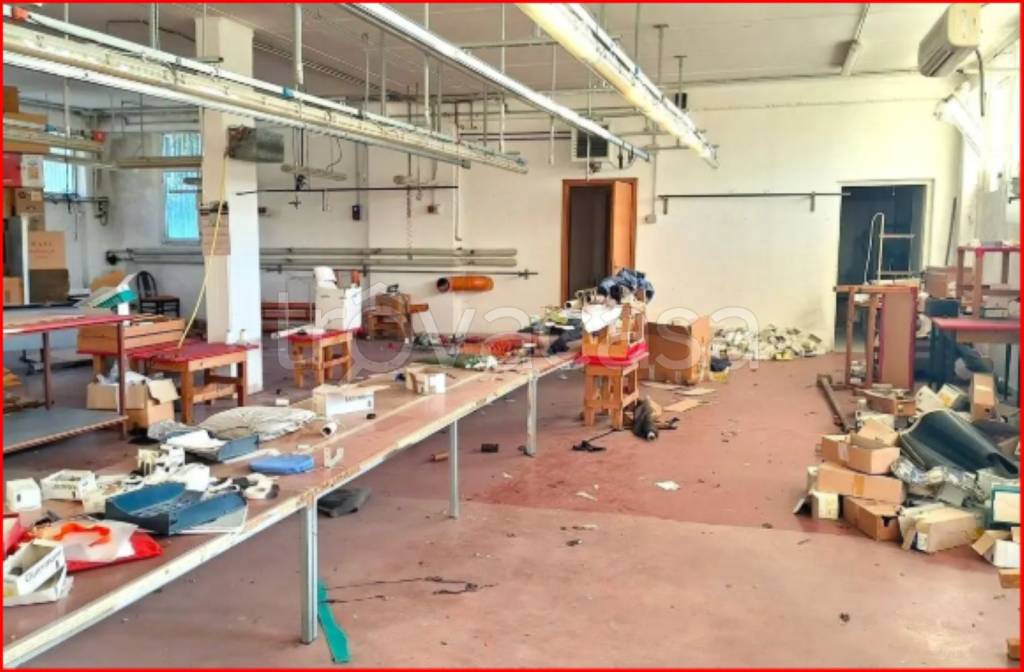 immagine annuncio 6 di 14