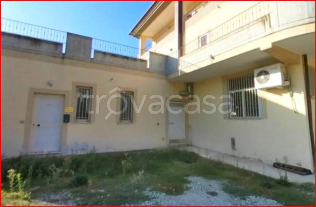 immagine annuncio 12 di 14