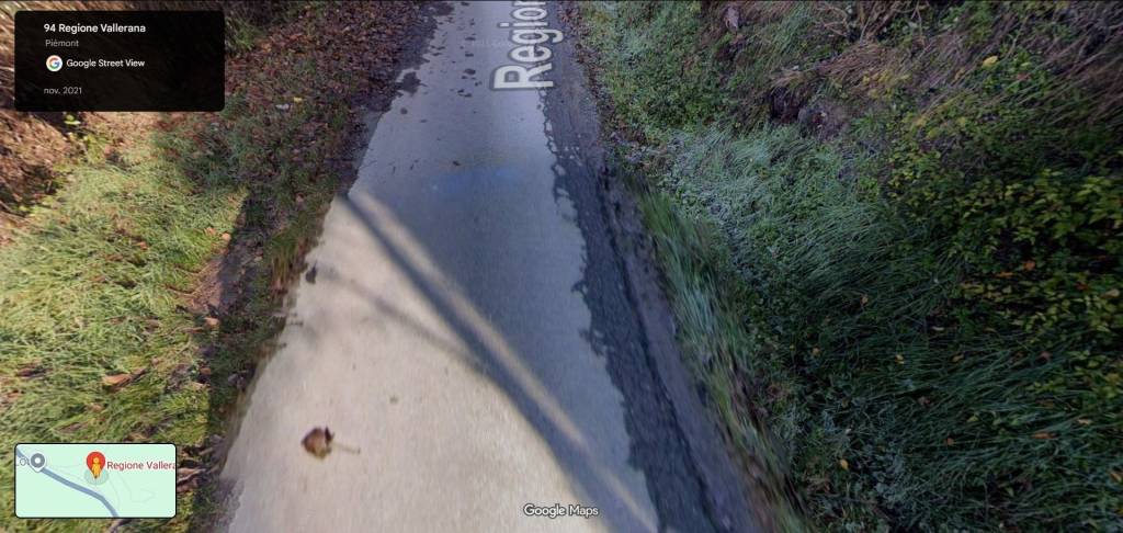 immagine annuncio 5 di 12