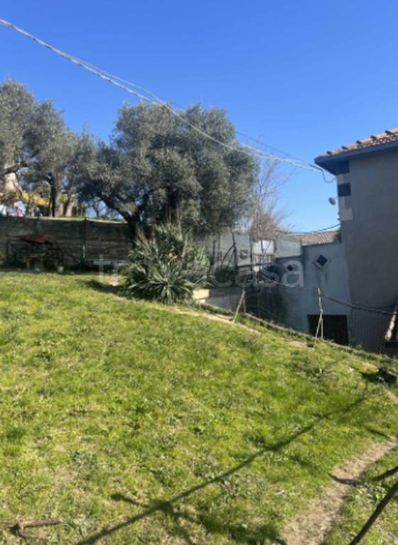 immagine annuncio 4 di 11