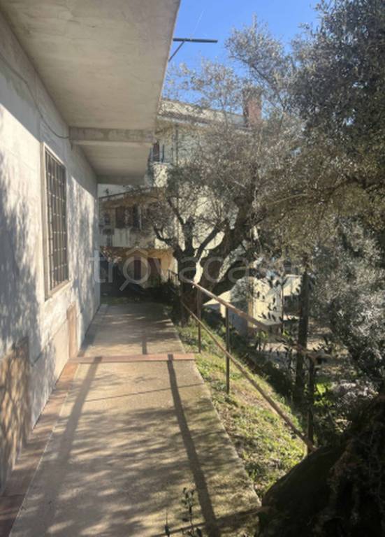 immagine annuncio 5 di 11