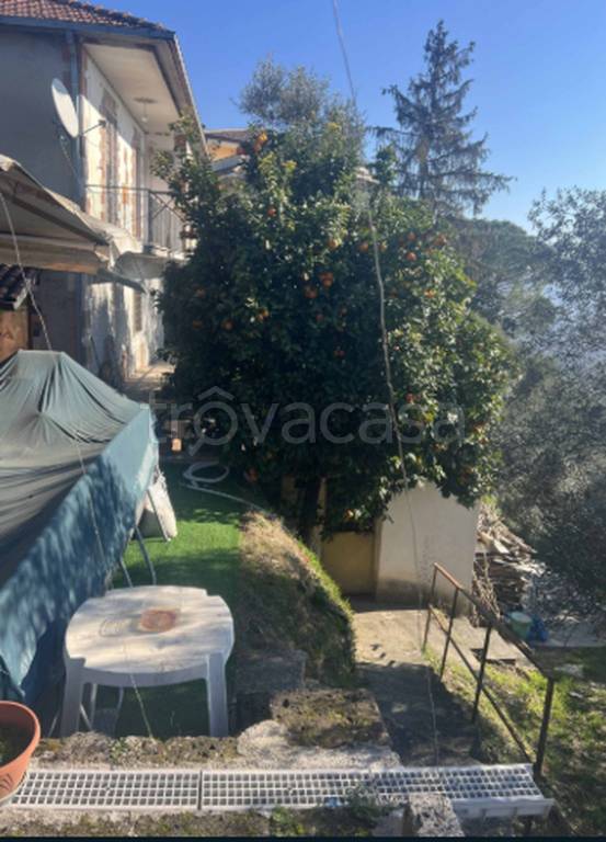 immagine annuncio 6 di 11