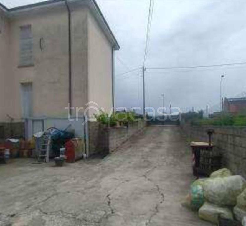 immagine annuncio 5 di 11