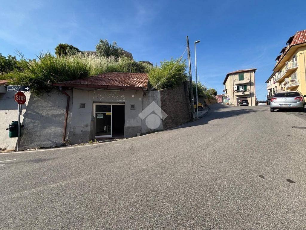 immagine annuncio 9 di 14