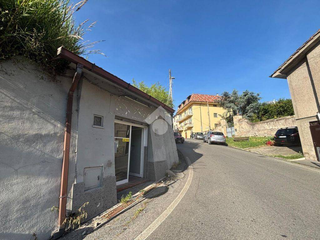 immagine annuncio 10 di 14