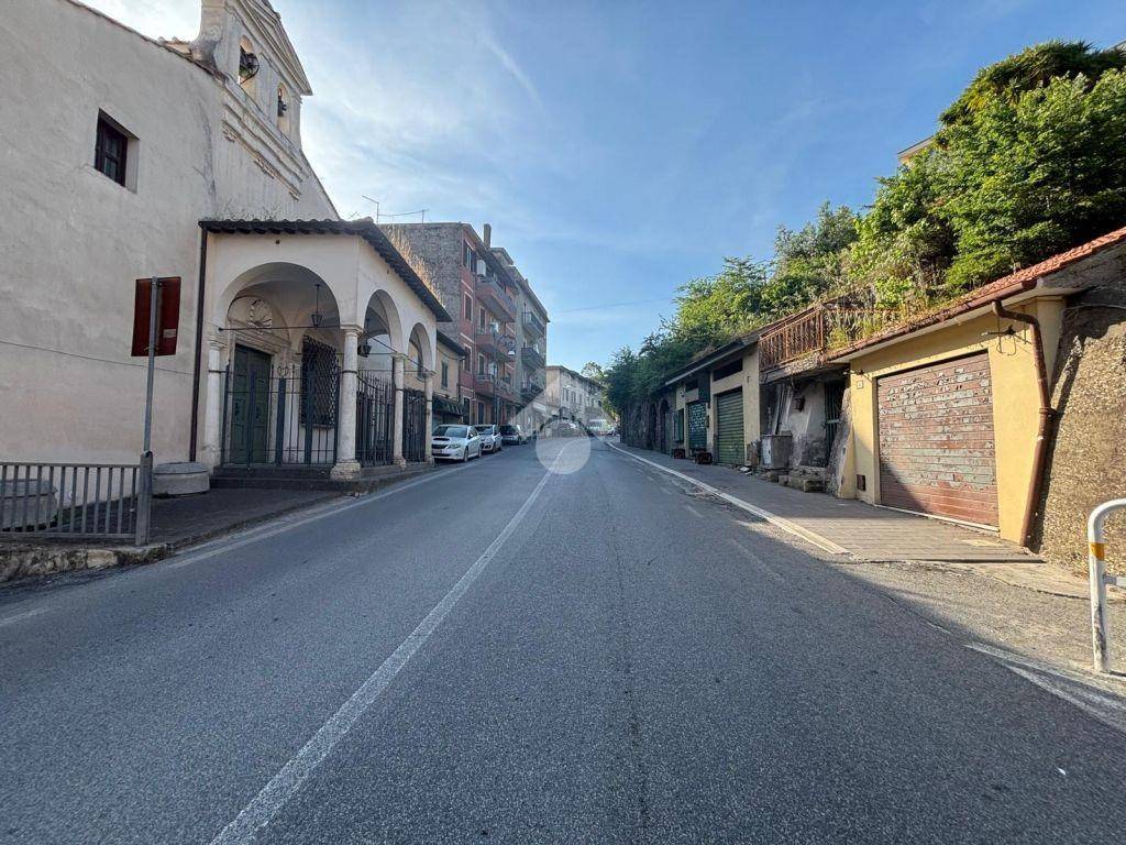 immagine annuncio 12 di 14