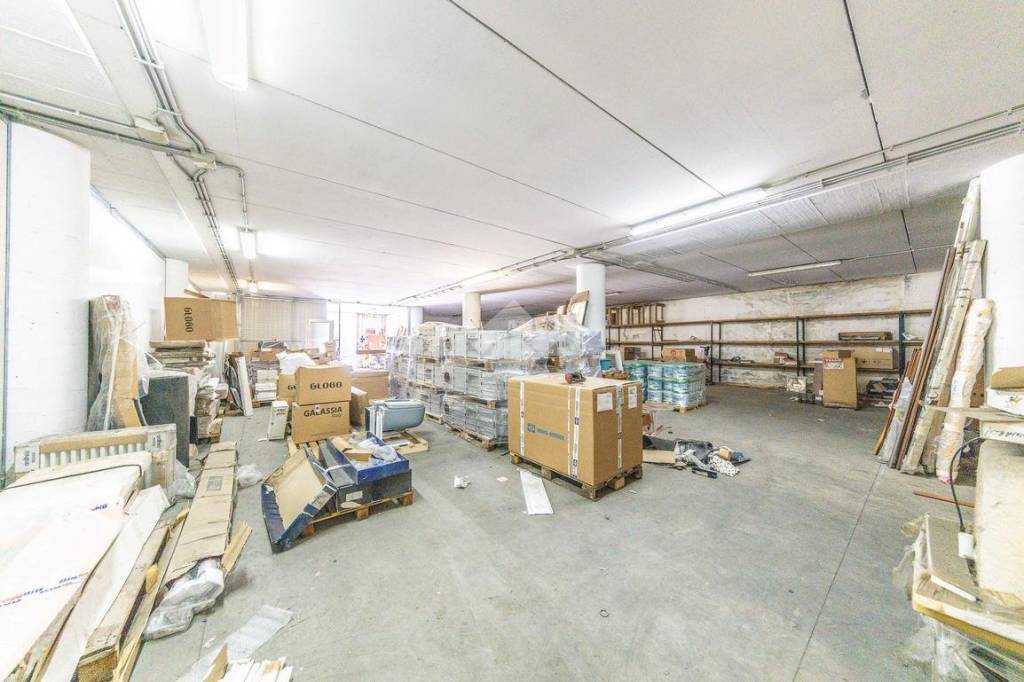 immagine annuncio 12 di 15