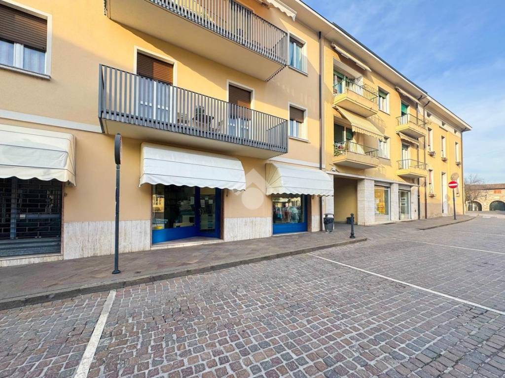 immagine annuncio 3 di 15