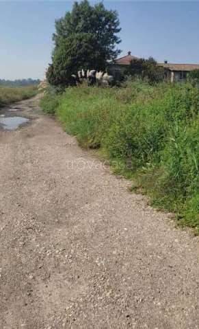 immagine annuncio 3 di 13