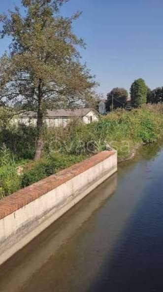 immagine annuncio 3 di 14