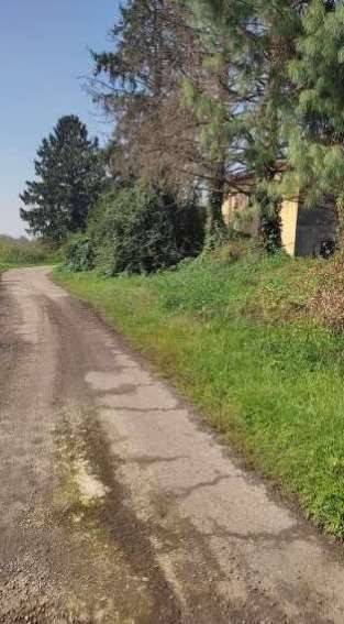 immagine annuncio 5 di 14