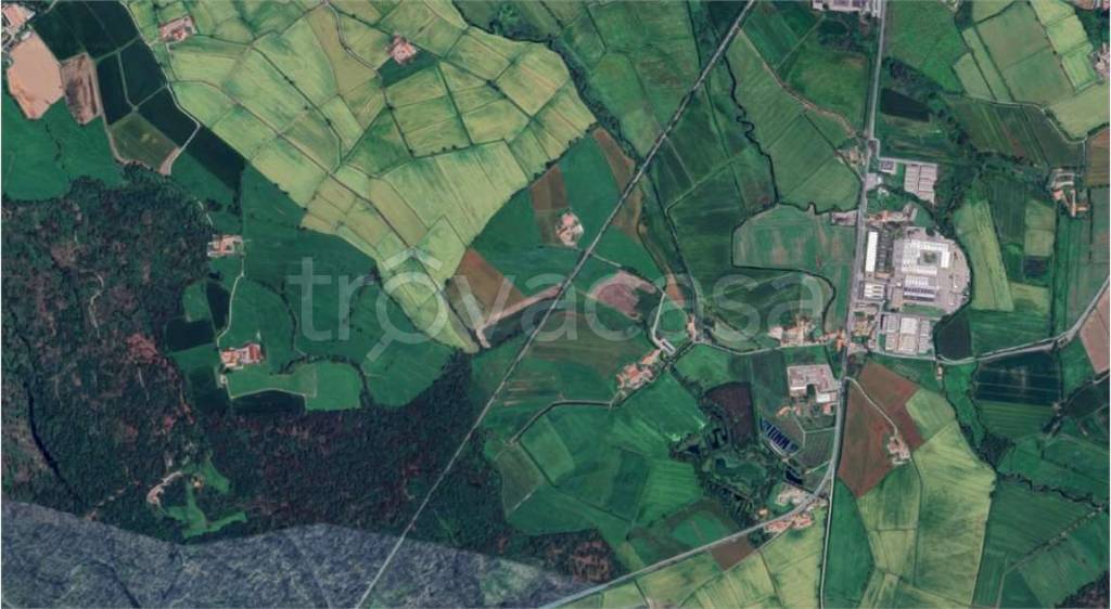 immagine annuncio 12 di 14