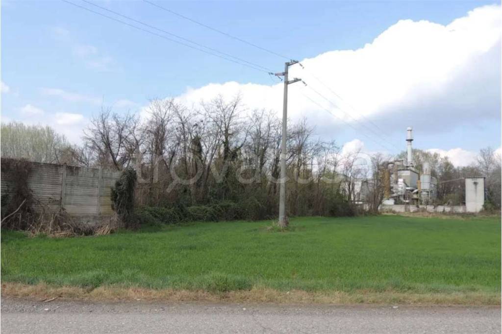 immagine annuncio 5 di 12