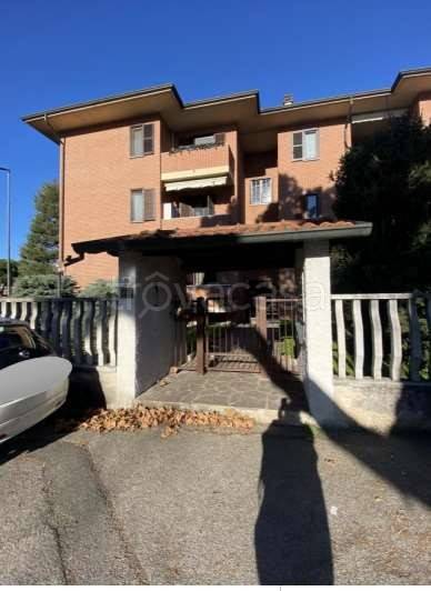 immagine annuncio 2 di 12