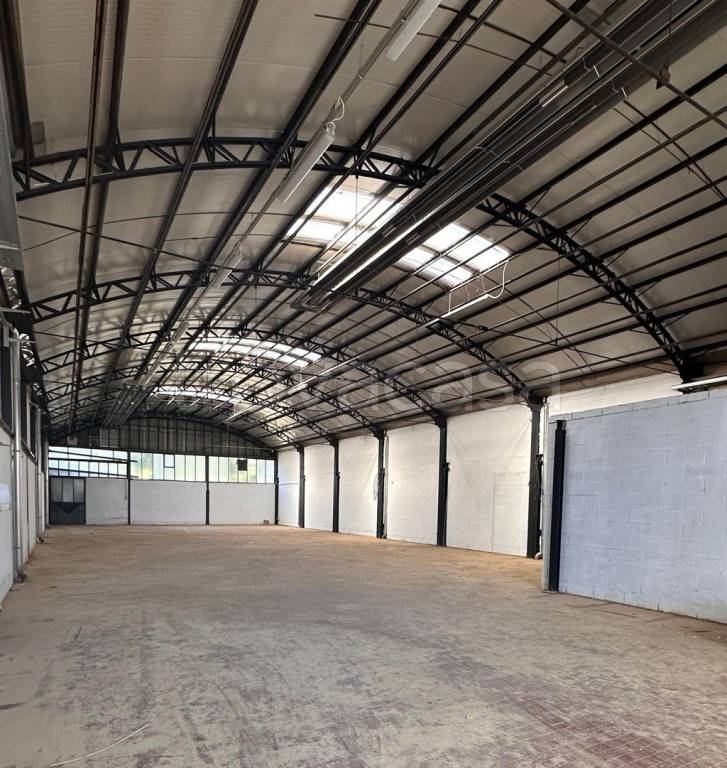 immagine annuncio 1 di 6