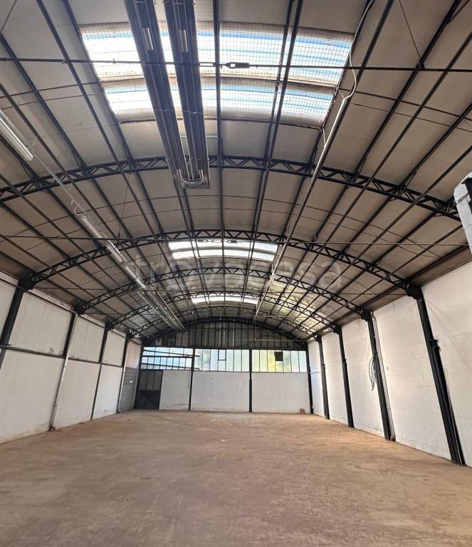 immagine annuncio 2 di 6