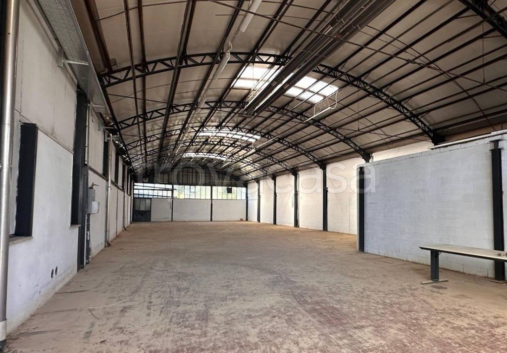 immagine annuncio 3 di 6