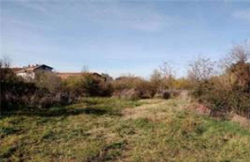 immagine annuncio 4 di 7