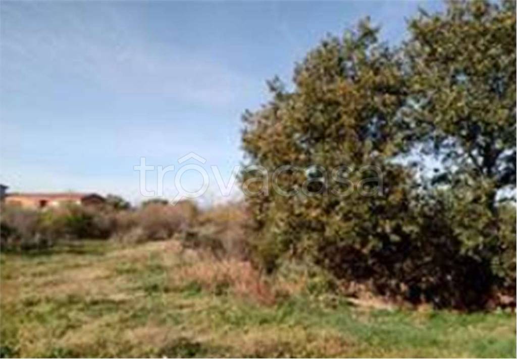 immagine annuncio 6 di 7